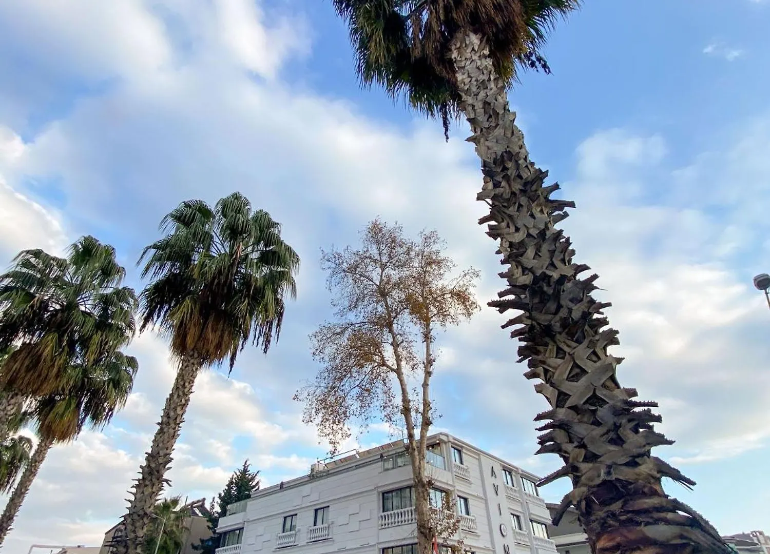 Avion Suite Hotel Antalya 0*,  Turkey